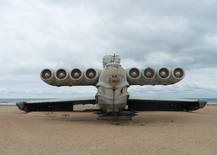Die wohl seltsamsten Strandfunde, die je an Land gespült wurden