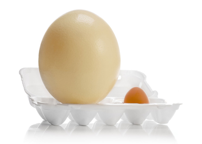 23 amazing food and drink facts you probably didn't know