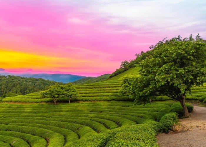 South Korea’s bucket-list spots for a memorable trip