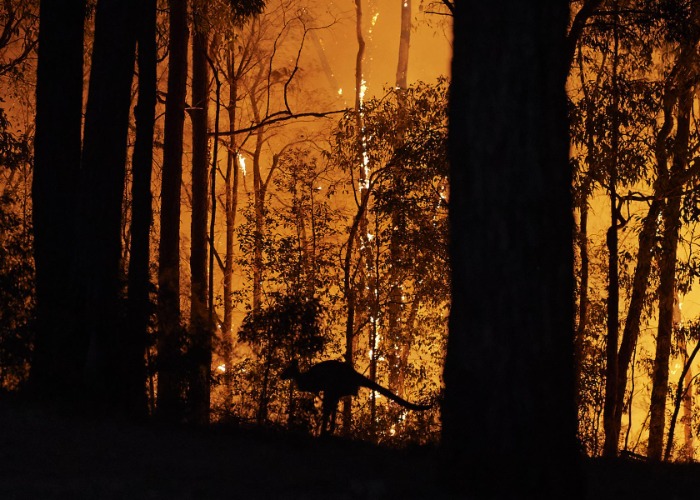 These Shocking Images Of Australia Zoom In On The Climate Crisis