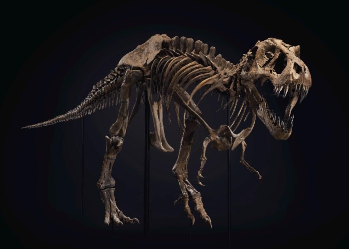 The world's most valuable dinosaurs ever found