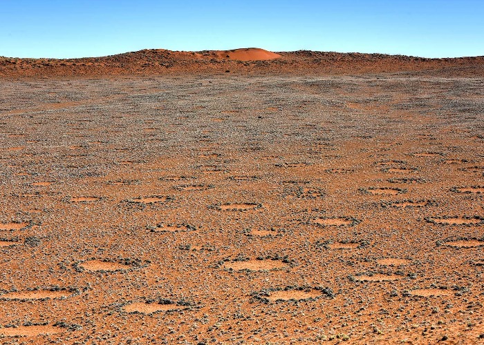 Von Rätseln im Sand bis Luxushotels: Diese Überraschungen verstecken sich in der Wüste
