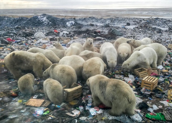 The terrible impact of the climate crisis revealed in heartbreaking images
