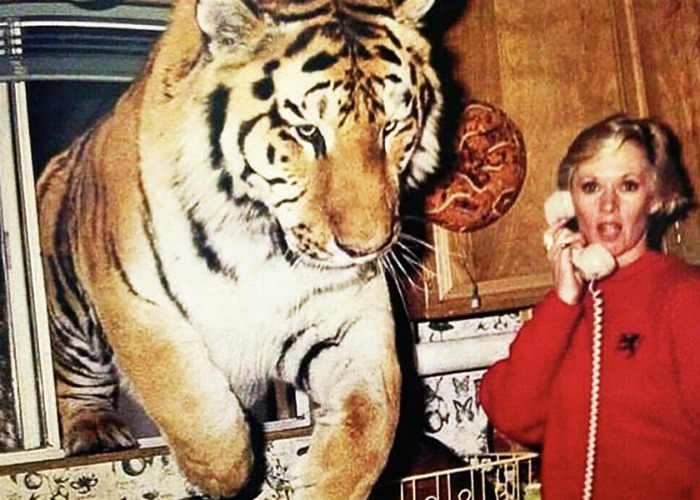 Incredible photos of celebrities posing at home with their pets