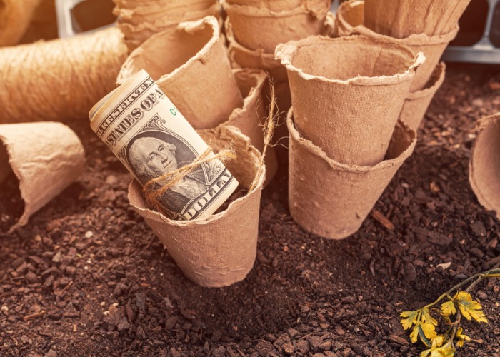 21 smart ways to earn cash using your yard