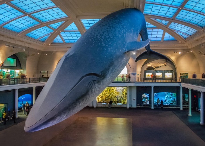 Tour America From Home: The Best Virtual Attractions In Every State