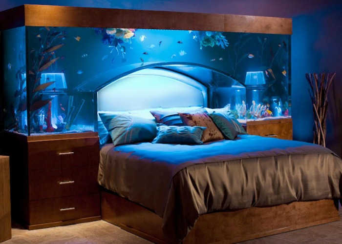 Om toestemming te geven Ironisch variabel Amazing aquariums only millionaires can afford | loveproperty.com