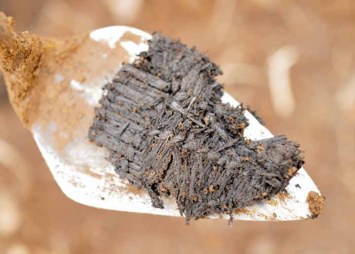 Fascinating 3,000-Year-Old Artefacts Have Been Discovered In Alaska