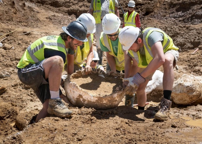 Incredible treasures and ancient artefacts found on building sites