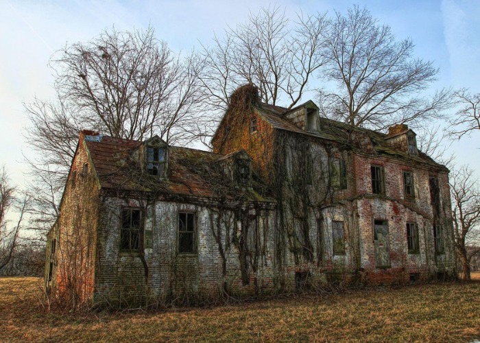 Eaten by Vines: Would YOU Explore This Spooky Empty Maryland House?