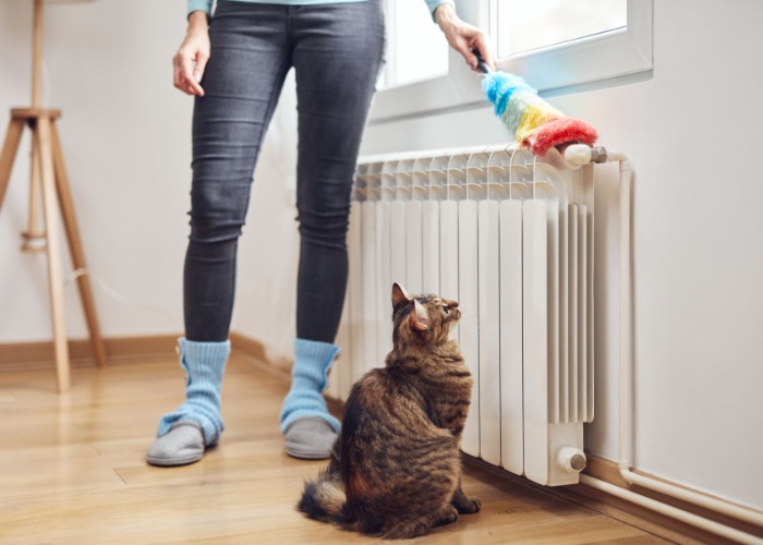 Autumn deep clean: essential household jobs to do now