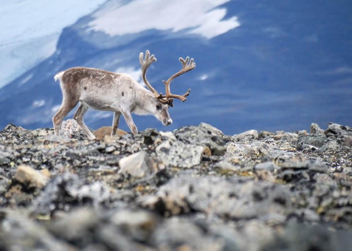 Europe's 15 Best National Parks In BEAUTIFUL Pictures