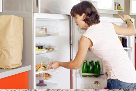 Could you live without a fridge?