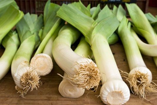 Mary berry fish pie leeks