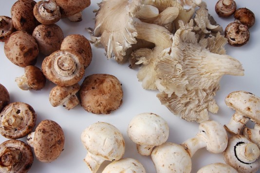 Mushrooms The Best Substitution For Meat