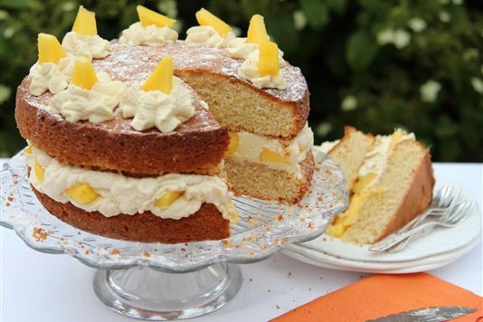 Mango-Orange-Vanilla Ice Cream Cake Recipe | Food Network Kitchen | Food  Network