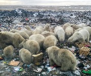 Brisante Bilder: So verändert Extremwetter unsere Erde