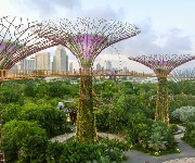 The best cities in the world for wheelchair-users, revealed