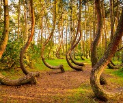 Stranger things: The 55 weirdest places in the world