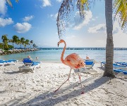 The Caribbean's most stunning sights are a must-see