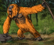 33 amazing prehistoric creatures