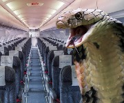 Bizarre facts and strange stories about flying you probably never knew