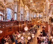 The world's most beautiful historic cafés you must see