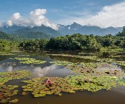 The world's most precious rainforests that could soon be lost forever