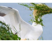 Schlechte Laune? Diese 74 Tierbilder bringen Sie garantiert zum Schmunzeln