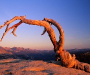 27 incredible tourist sights now lost forever