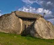 11 incredible homes built around Mother Nature