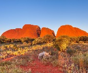 The World's Oldest Culture is Not Where You'd Expect