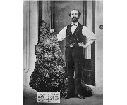 The largest gold nuggets ever found around the world
