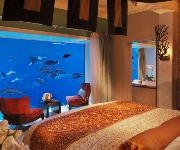Bucket list underwater attractions you need to see